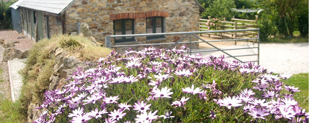 self catering cottage in cornwall