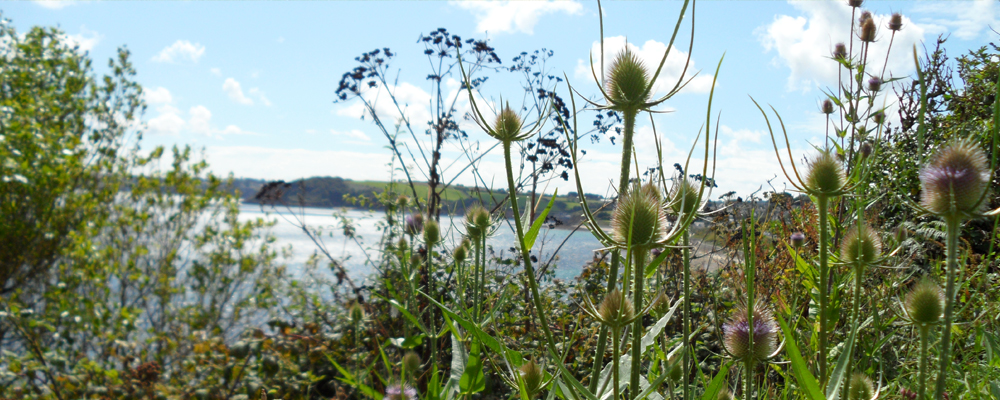 caravan touring park in cornwall